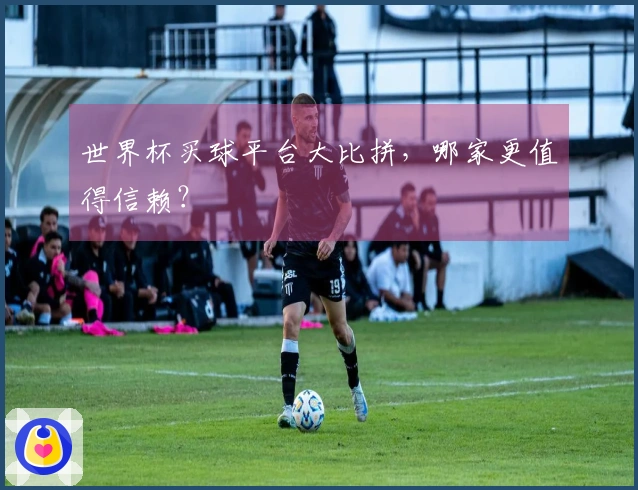世界杯买球平台大比拼，哪家更值得信赖？