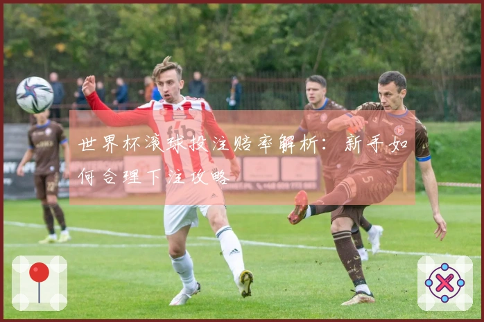 世界杯滚球投注赔率解析：新手如何合理下注攻略