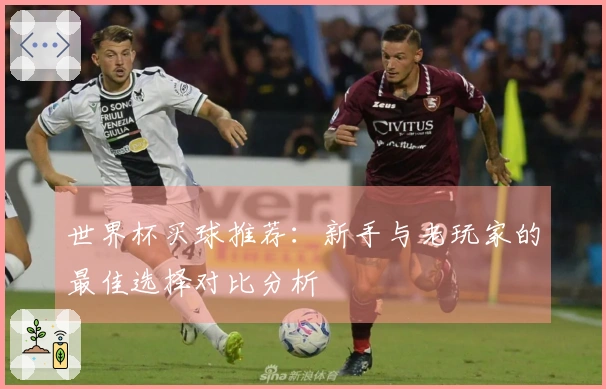 世界杯买球推荐：新手与老玩家的最佳选择对比分析