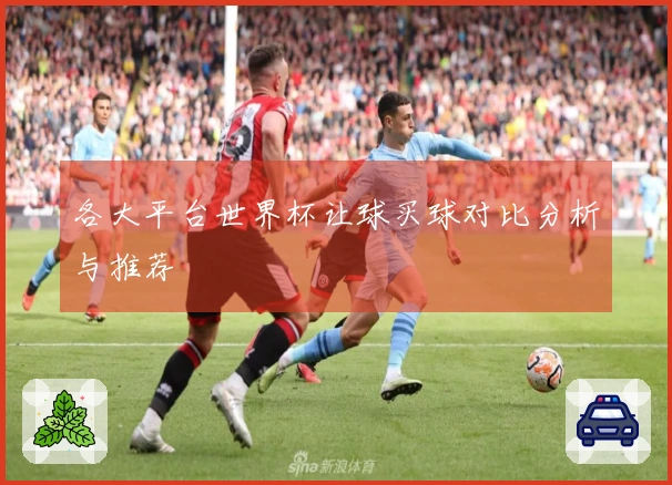 各大平台世界杯让球买球对比分析与推荐