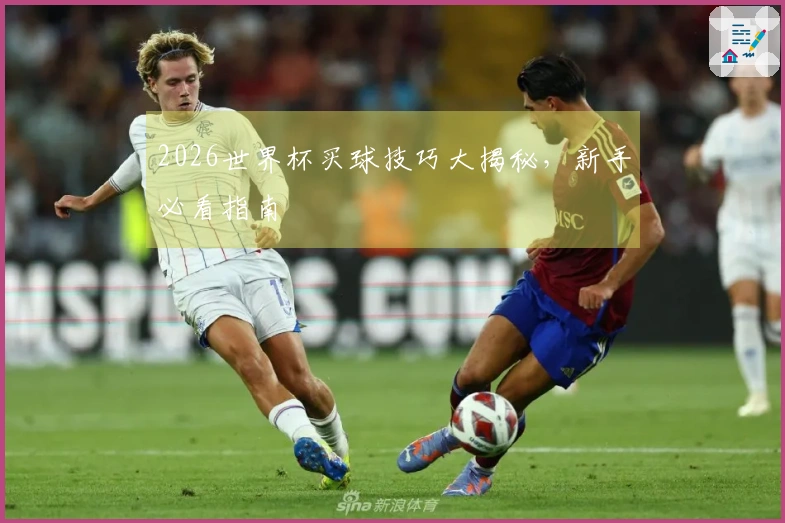 2026世界杯买球技巧大揭秘，新手必看指南