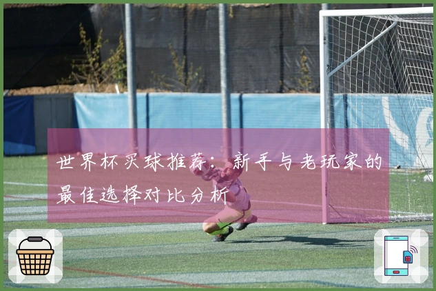 世界杯买球推荐：新手与老玩家的最佳选择对比分析