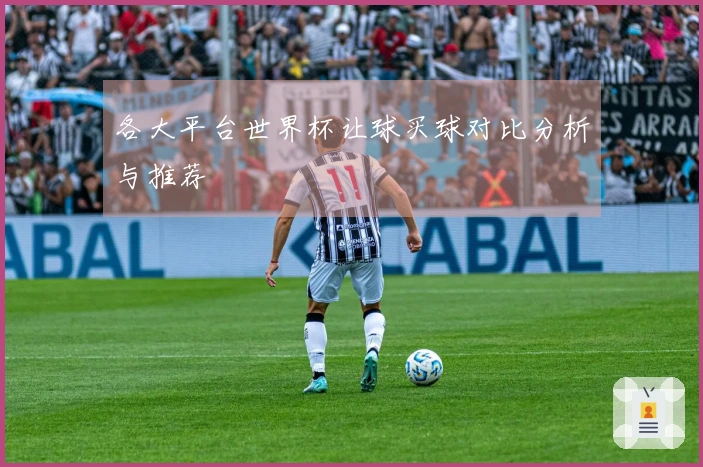 各大平台世界杯让球买球对比分析与推荐