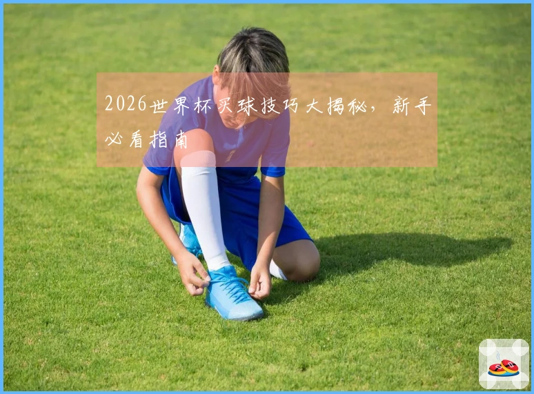 2026世界杯买球技巧大揭秘，新手必看指南
