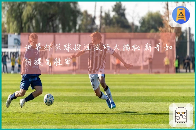 世界杯买球投注技巧大揭秘 新手如何提高胜率