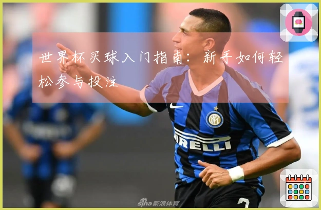 世界杯买球入门指南：新手如何轻松参与投注