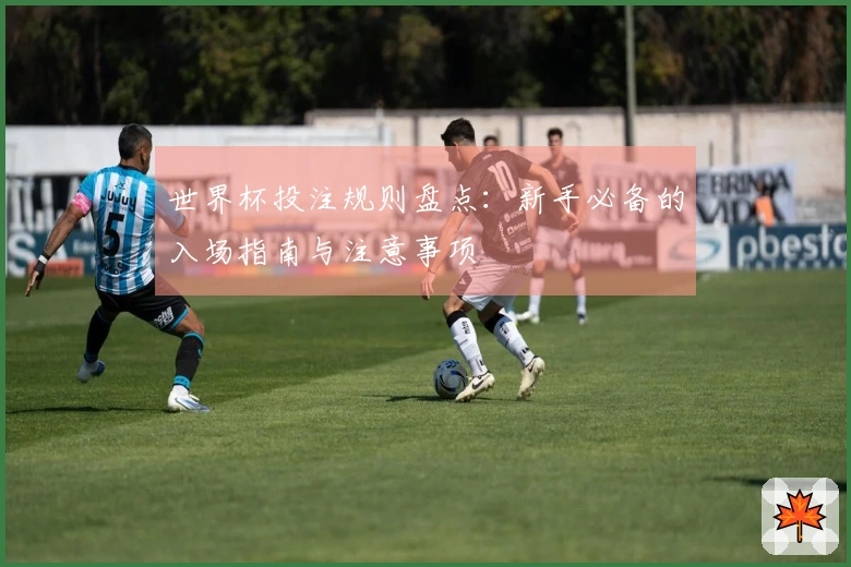 世界杯投注规则盘点：新手必备的入场指南与注意事项